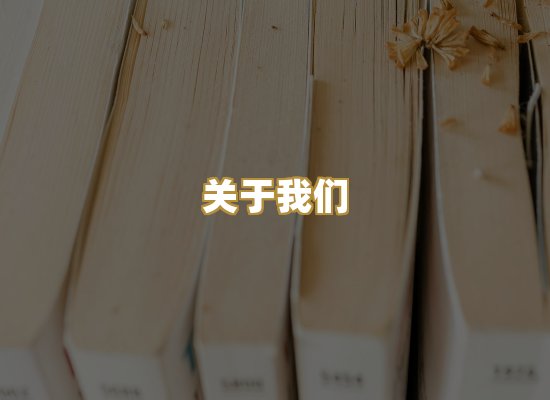 关于我们